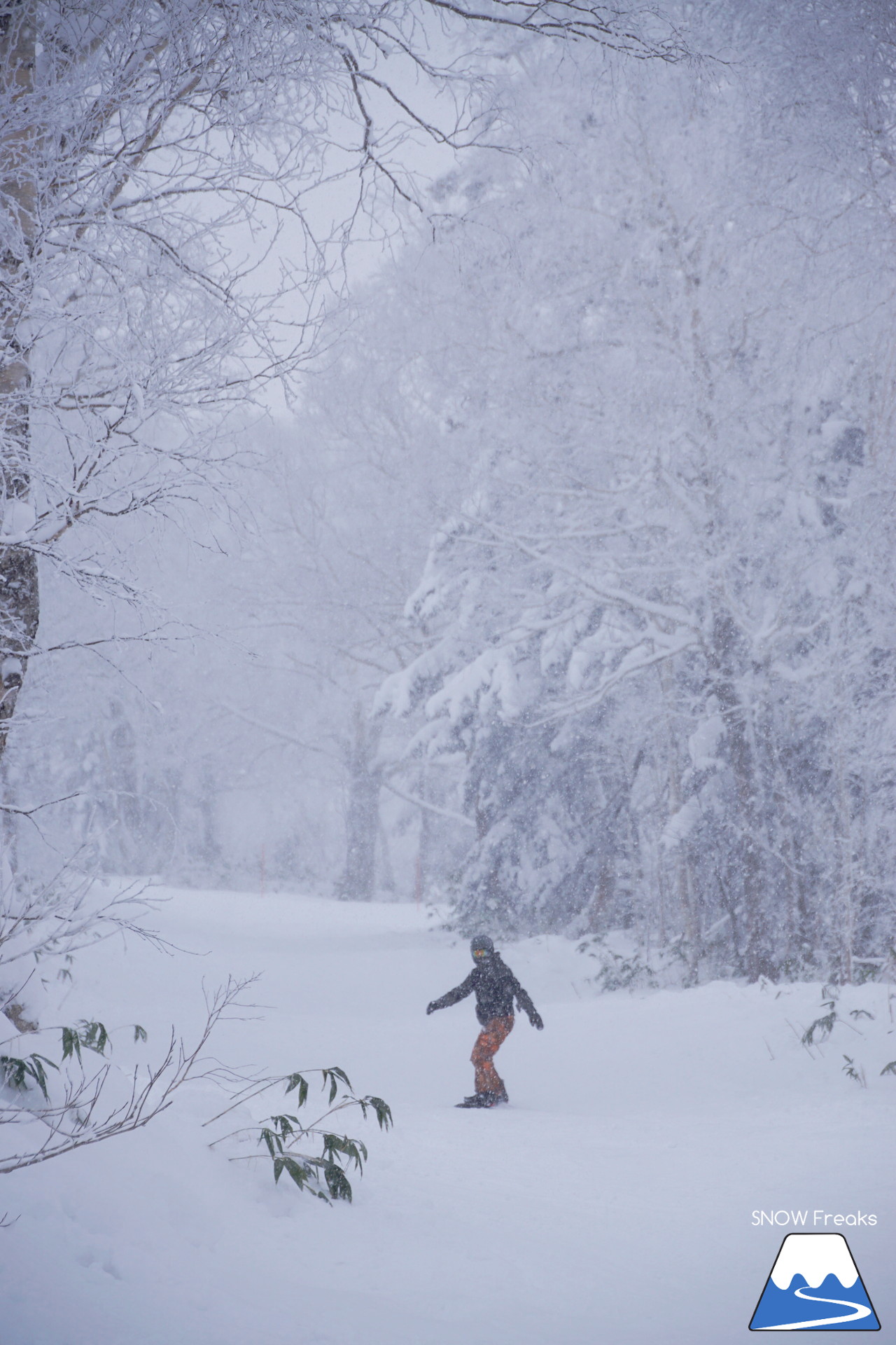 2018-2019 winter ☆パウダースノーで初滑り☆ 北海道札幌市・札幌国際スキー場